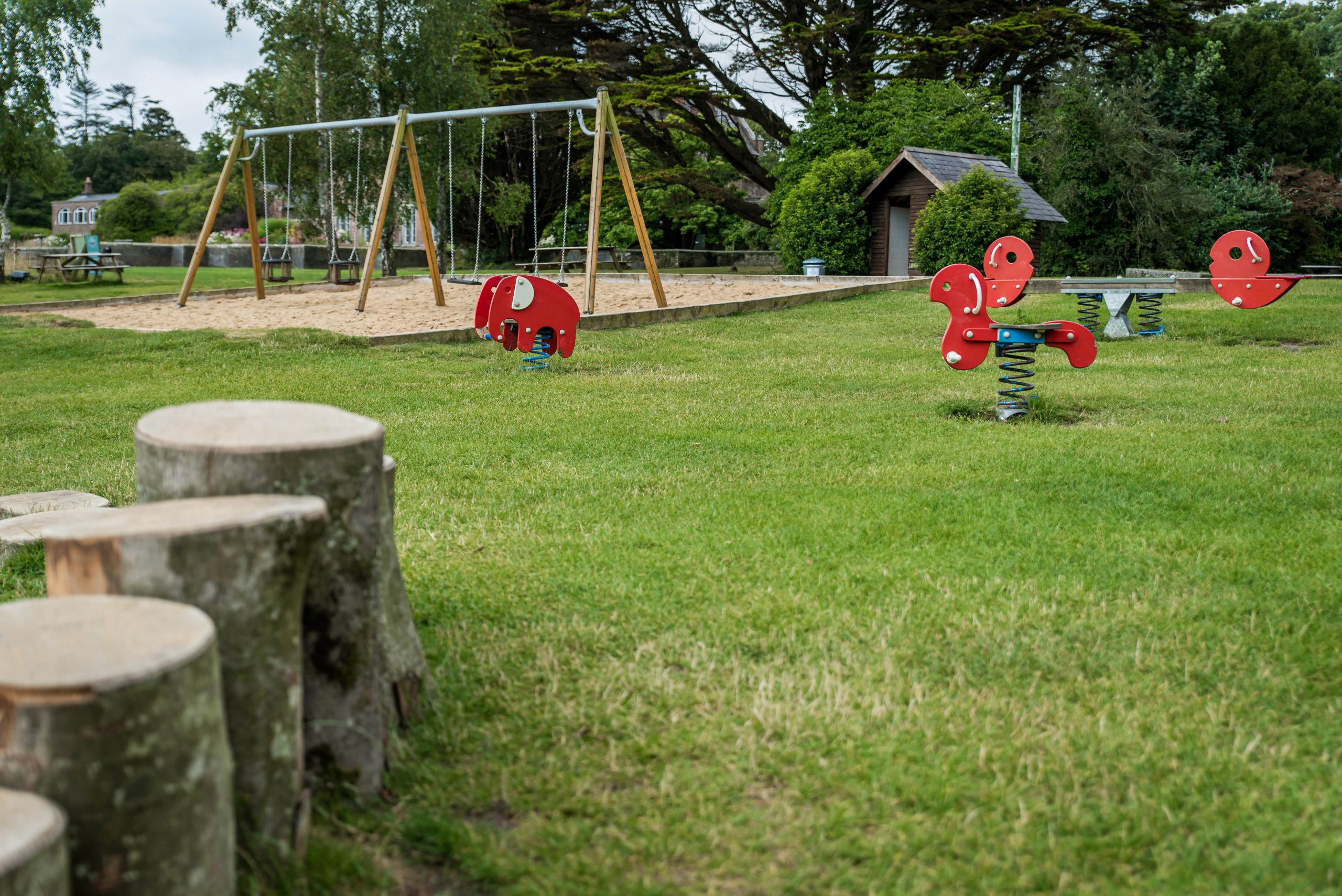 Park with stumps, swings and spring rides