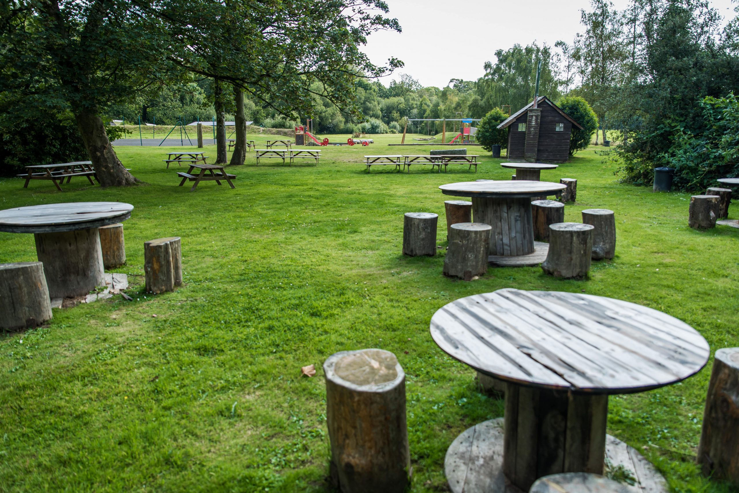 Park with wooden stumps as chairs and round wooden tables