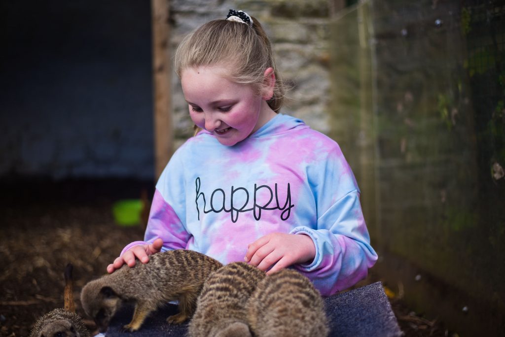 Little girl sitting down with baby meerkats on her lap