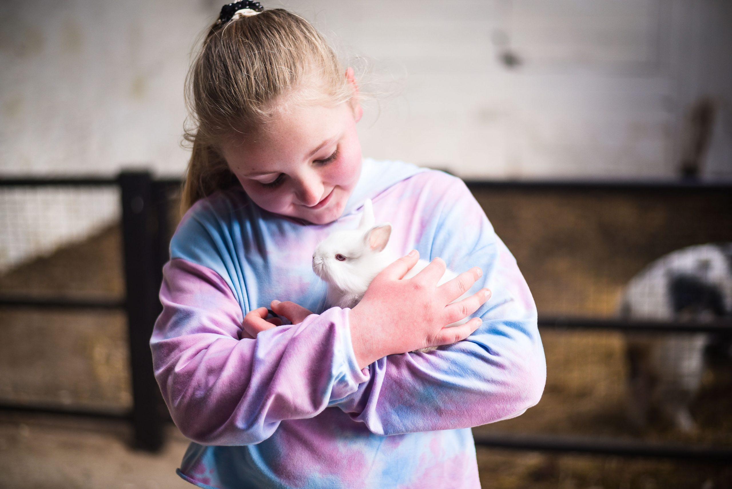 Little girl holding a white rabbit