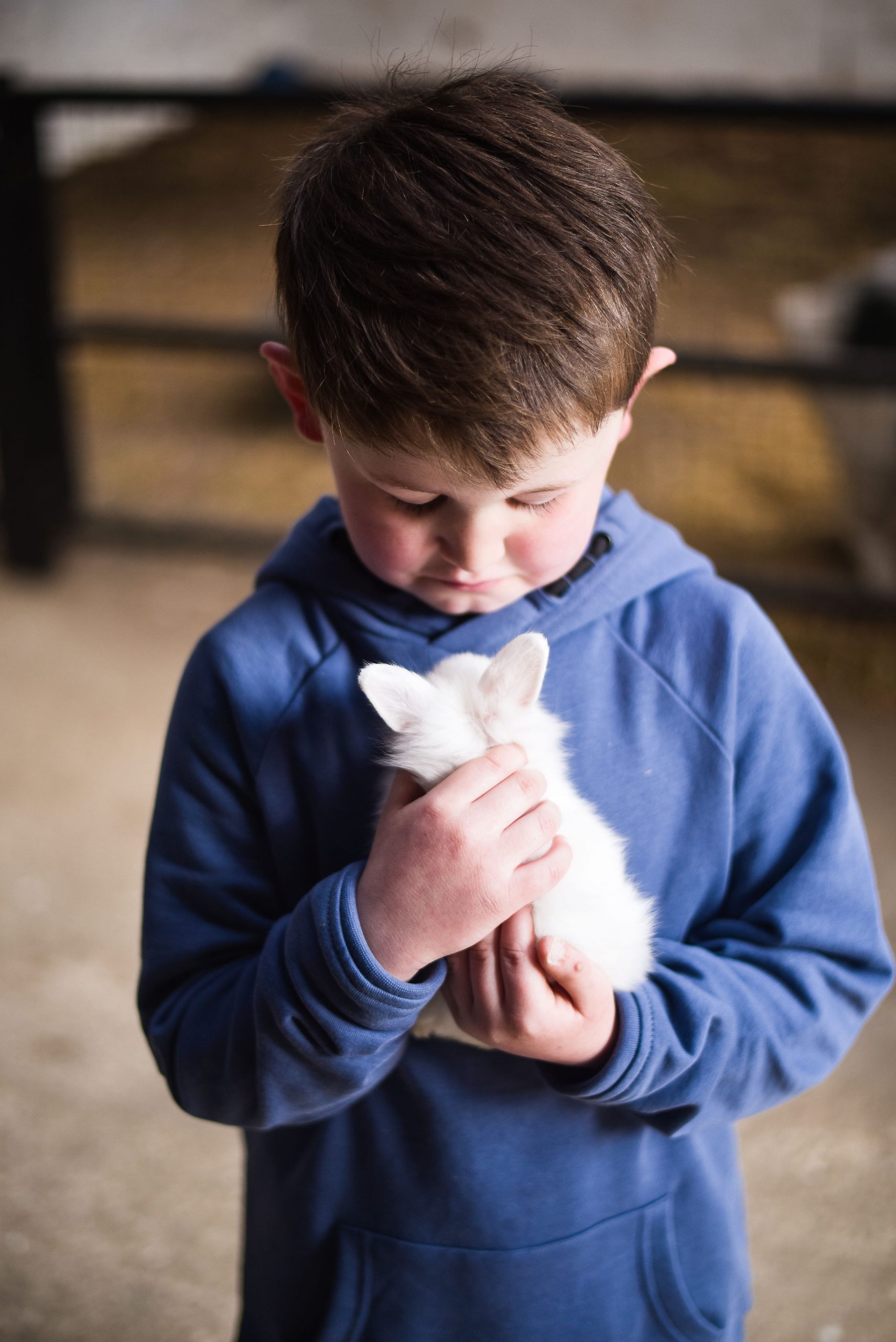 Little boy holding a white kitten