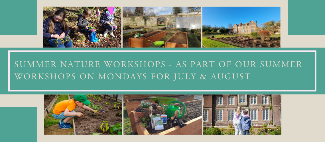 summer workshops for children wexford wells house and gardens