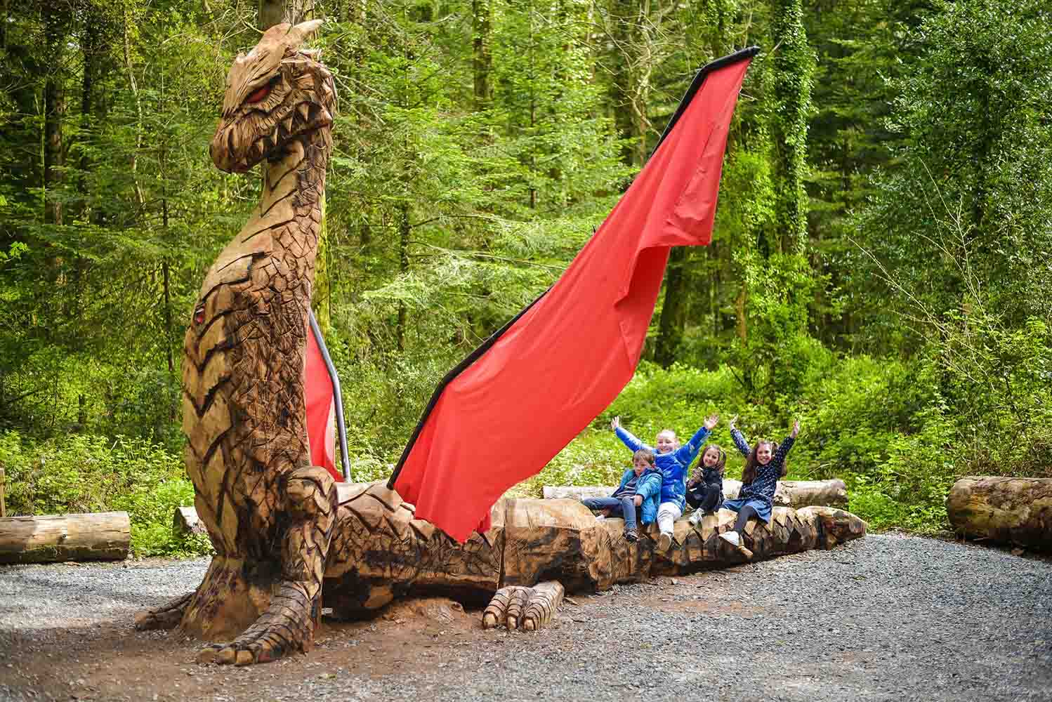 Dragon in Woodland walk at Wells 1500