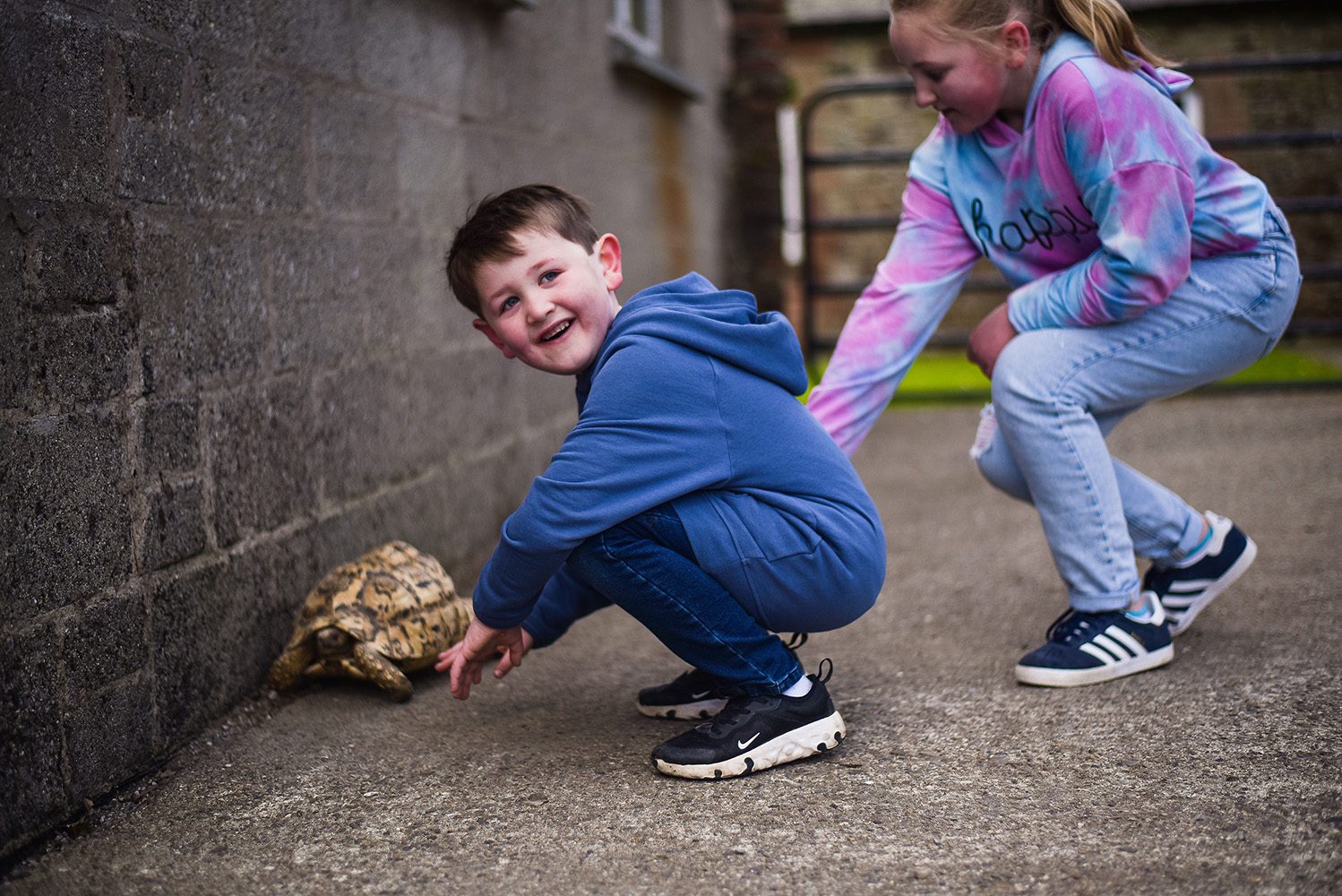 brilee.co_WellsHouse-66 Animal Farm 1 Boy and girl sitting down rubbing a tortoise
